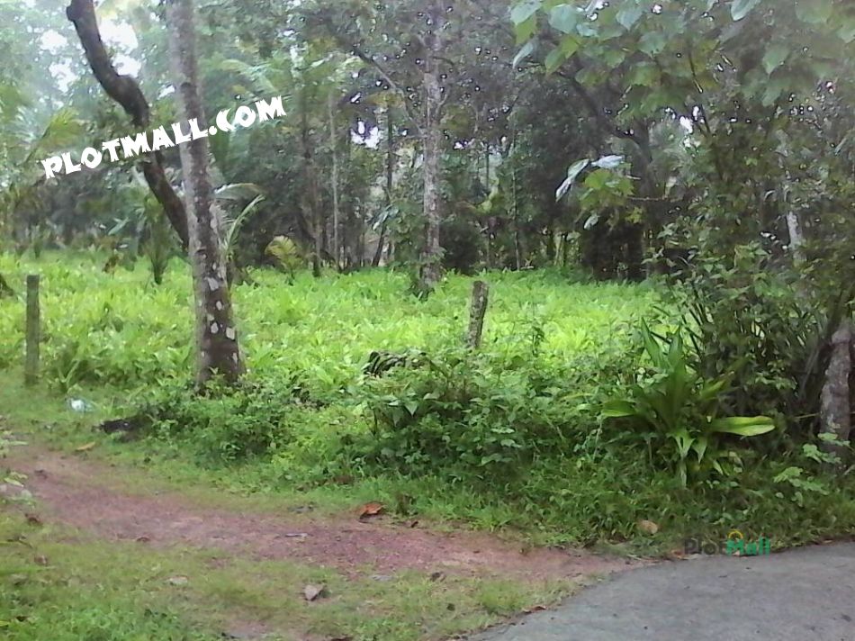 Residential Land For Sale