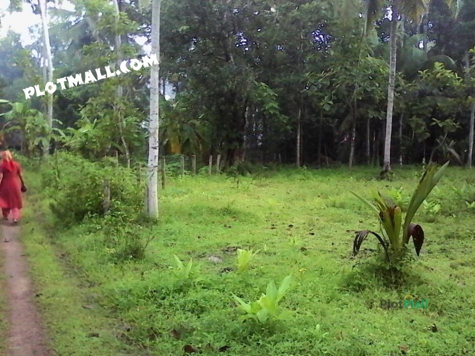 Residential Land For Sale In Kayamkulam