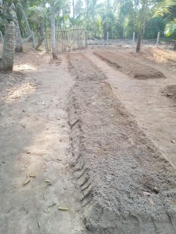 42 Cent Residential Land for Sale at Kayamkulam Budget - 200000 Cent