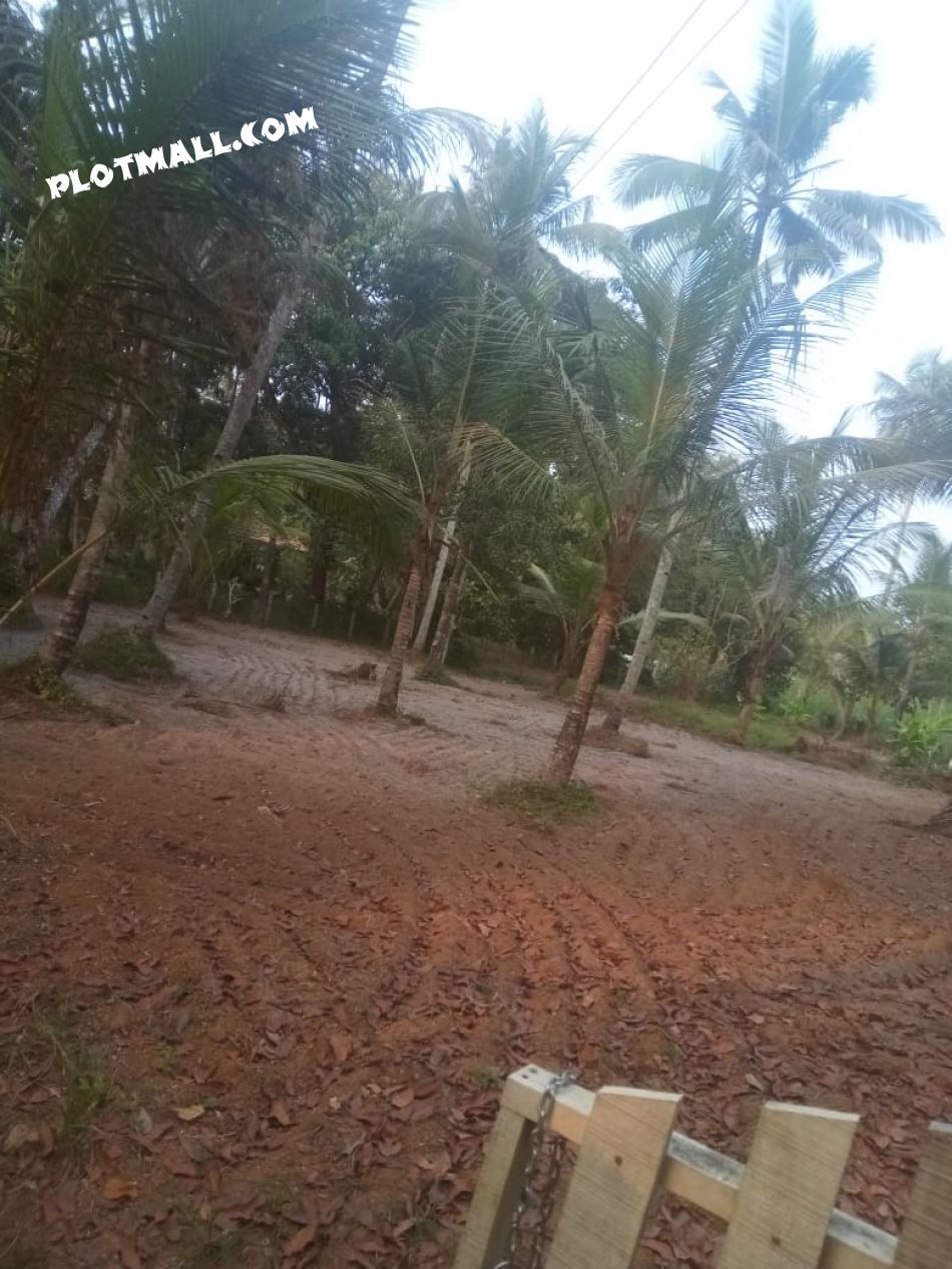 Residential Land For Sale