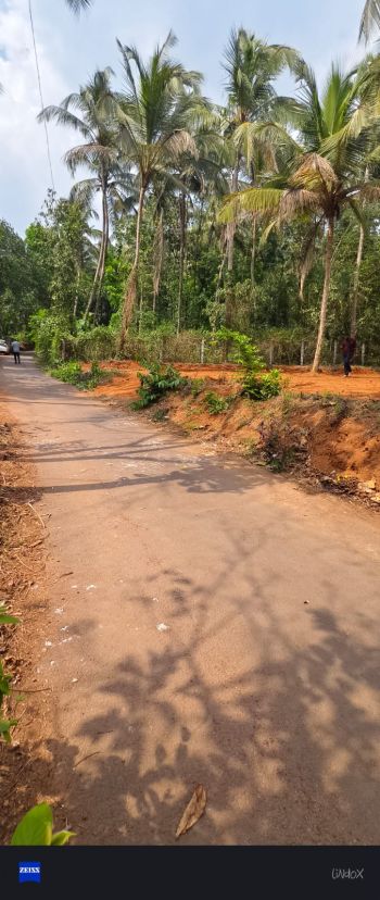 21.5 Cent Residential Land for Sale at Kettangal Budget - 350000 Cent
