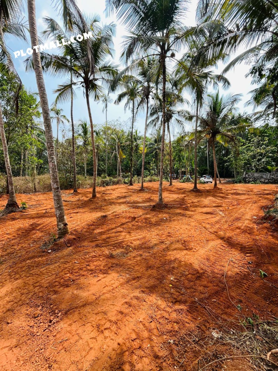 Residential Land For Sale