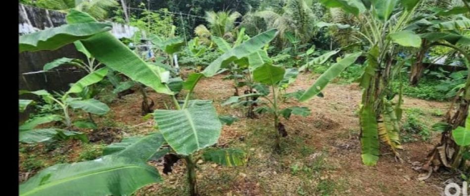 Residential Land For Sale