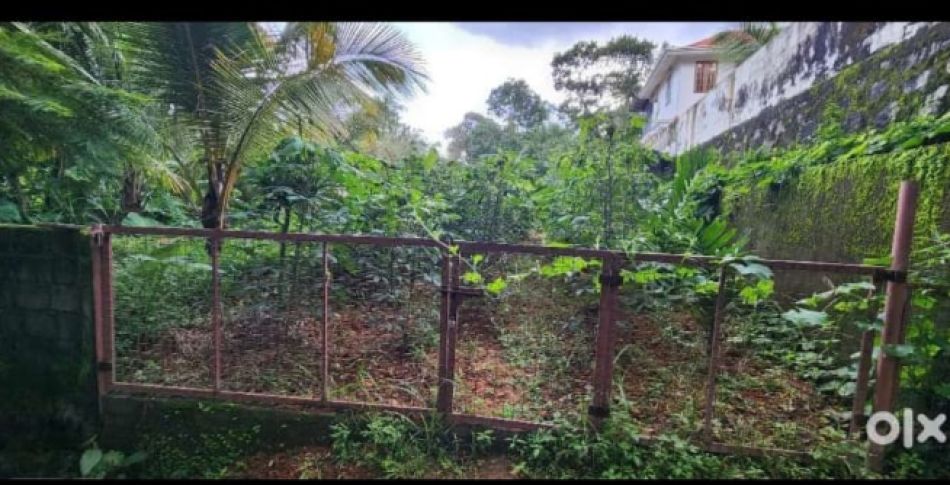 Residential Land For Sale