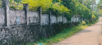 2 Acre Residential Land for Sale at Thiruvananthapuram Budget - 175000 Cent