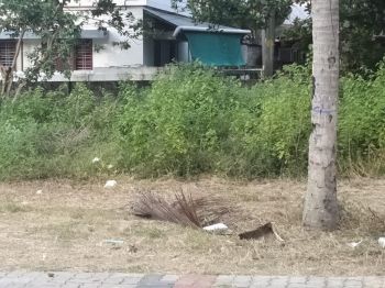 10.50 Cent Residential Land for Sale at Kollam Budget - 700000 Cent