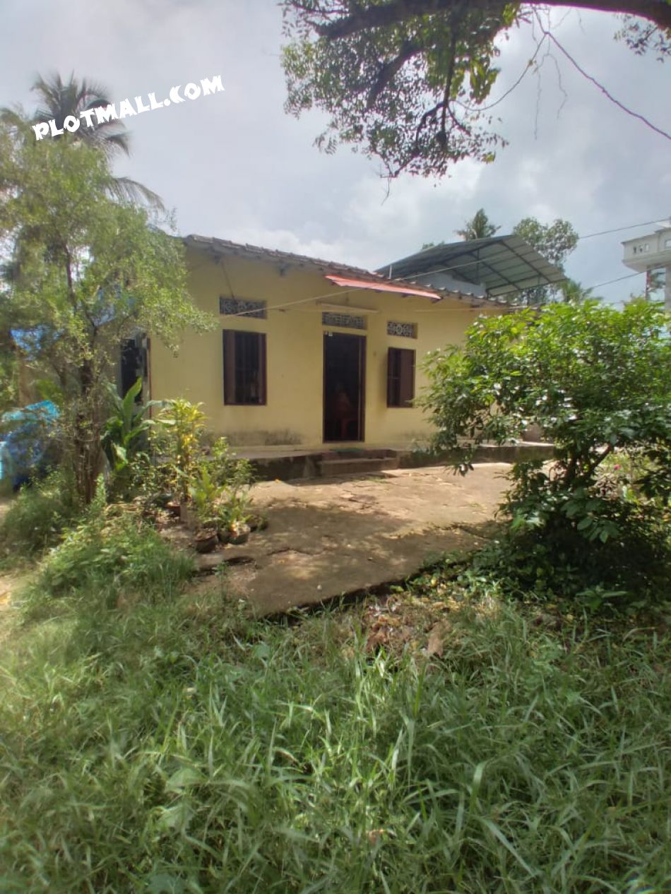 8.5 Cent Residential Land for Sale at Kollam Budget - 700000 Cent