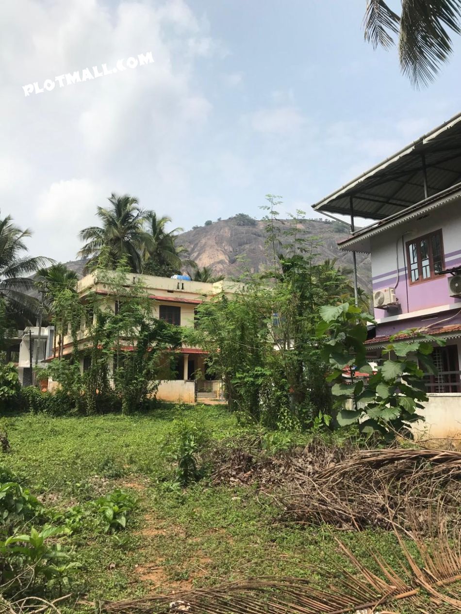 Residential Land For Sale