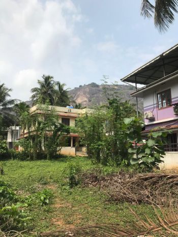 32 Cent Residential Land for Sale at Kongad Budget - 300000 Cent