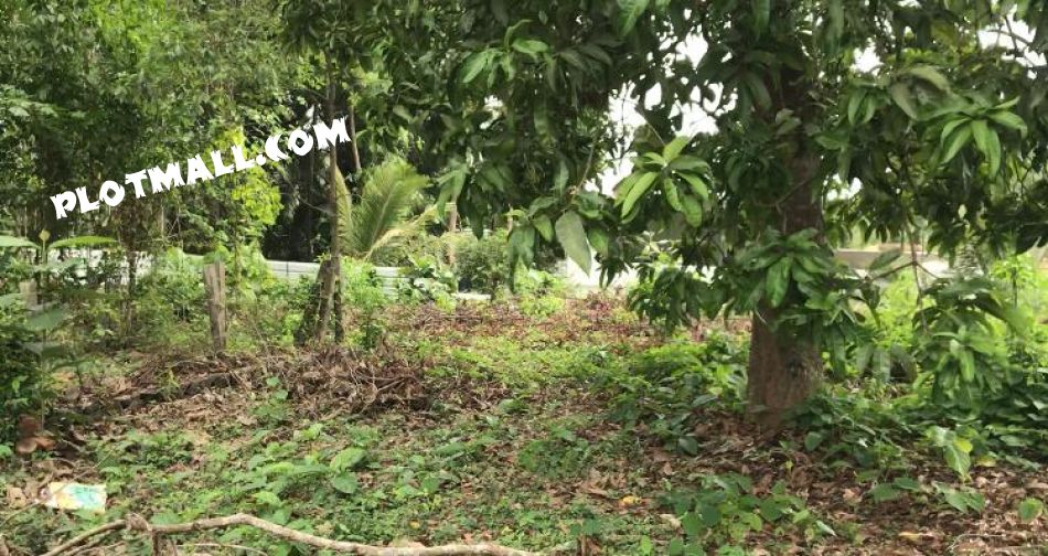 Residential Land For Sale