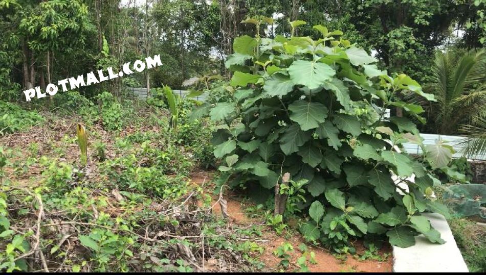 Residential Land For Sale