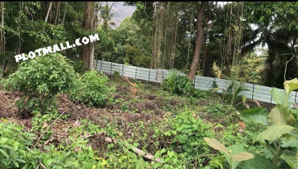 Residential Land For Sale