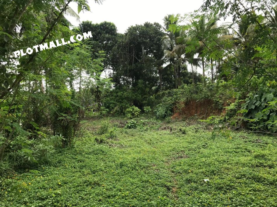Residential Land For Sale