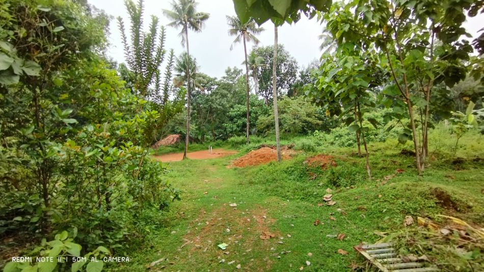 Residential Land For Sale