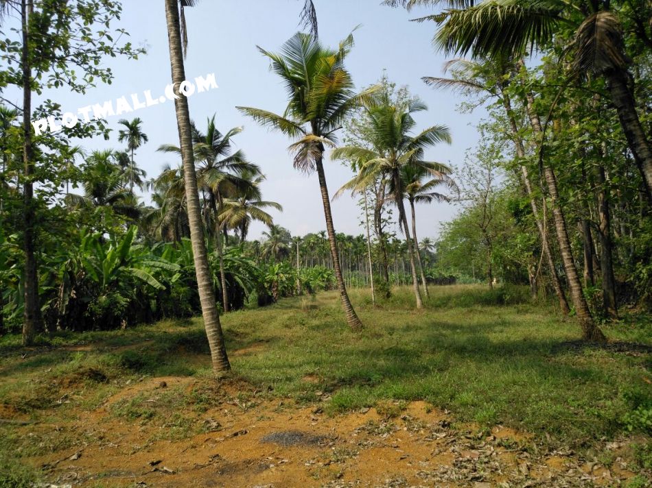 Agricultural Land For Sale