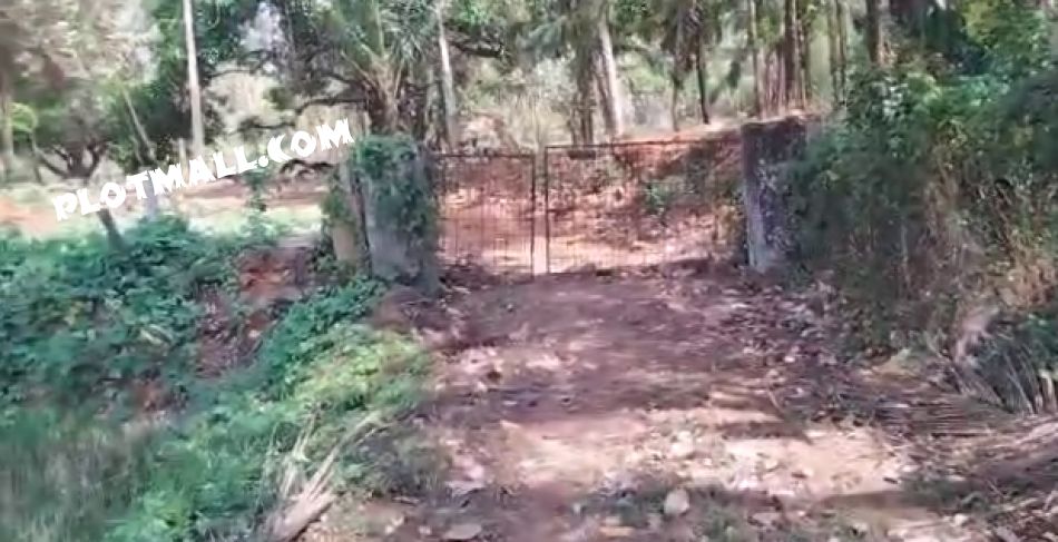 1.49 Acre Residential Land for Sale at Kottapuram Budget - 125000 Cent