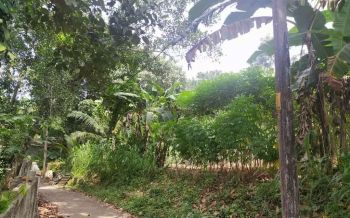 14.75 Cent Residential Land for Sale at Kottayam Budget - 350000 Cent