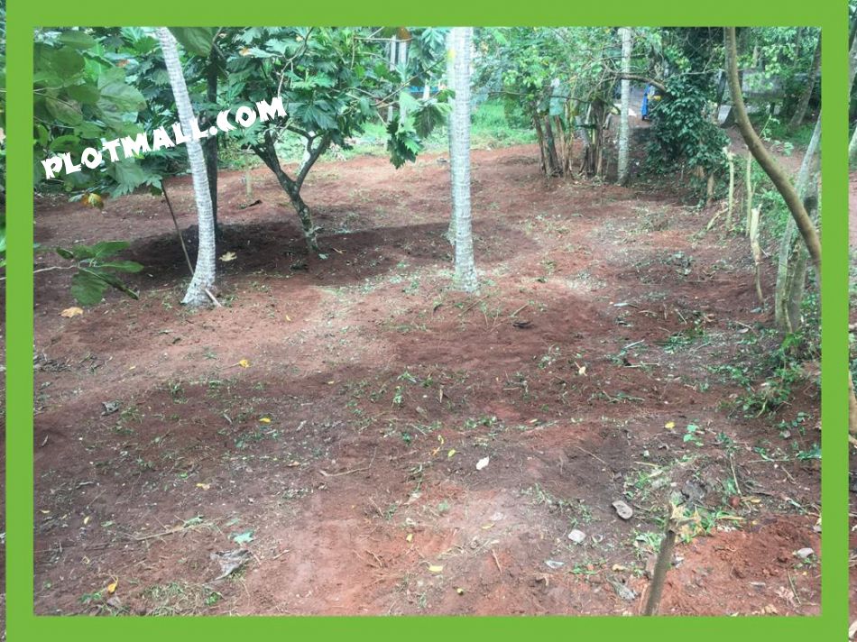 Residential Land For Sale