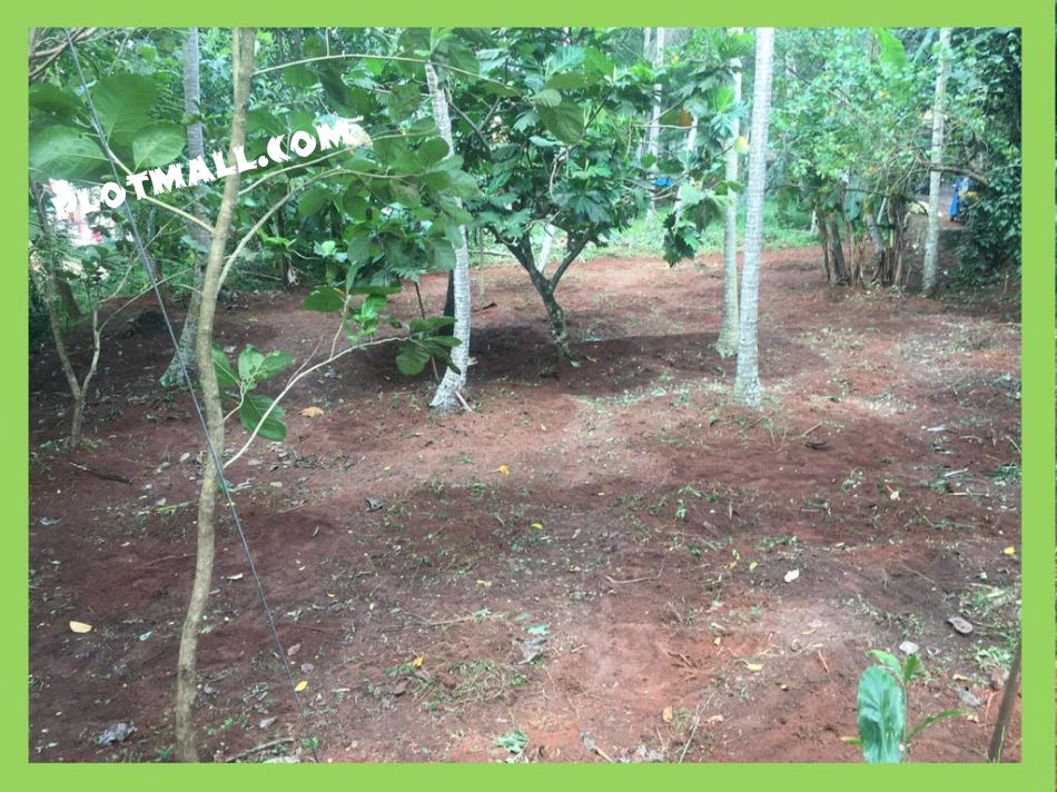 Residential Land For Sale