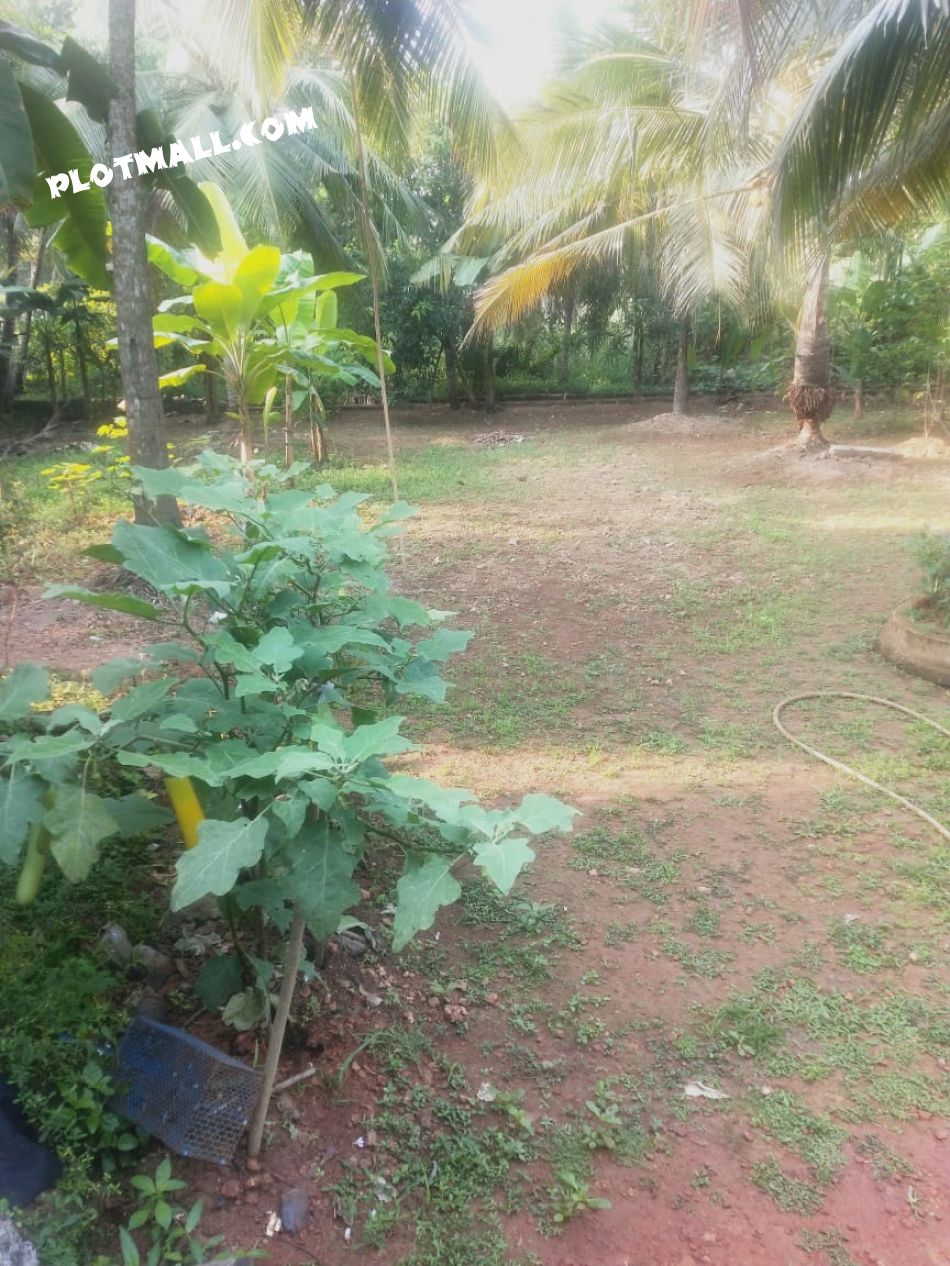 Residential Land For Sale