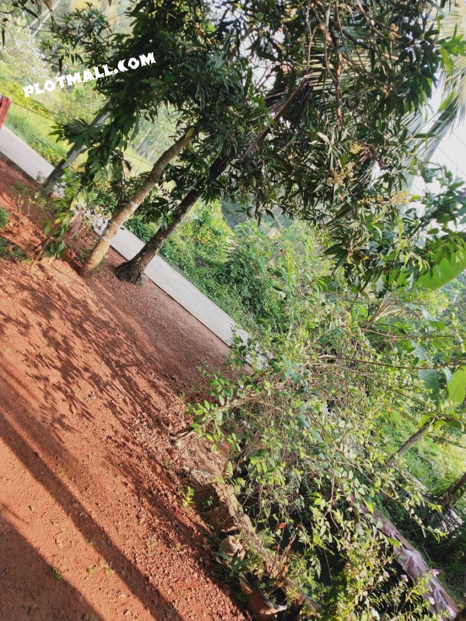 Residential Land For Sale