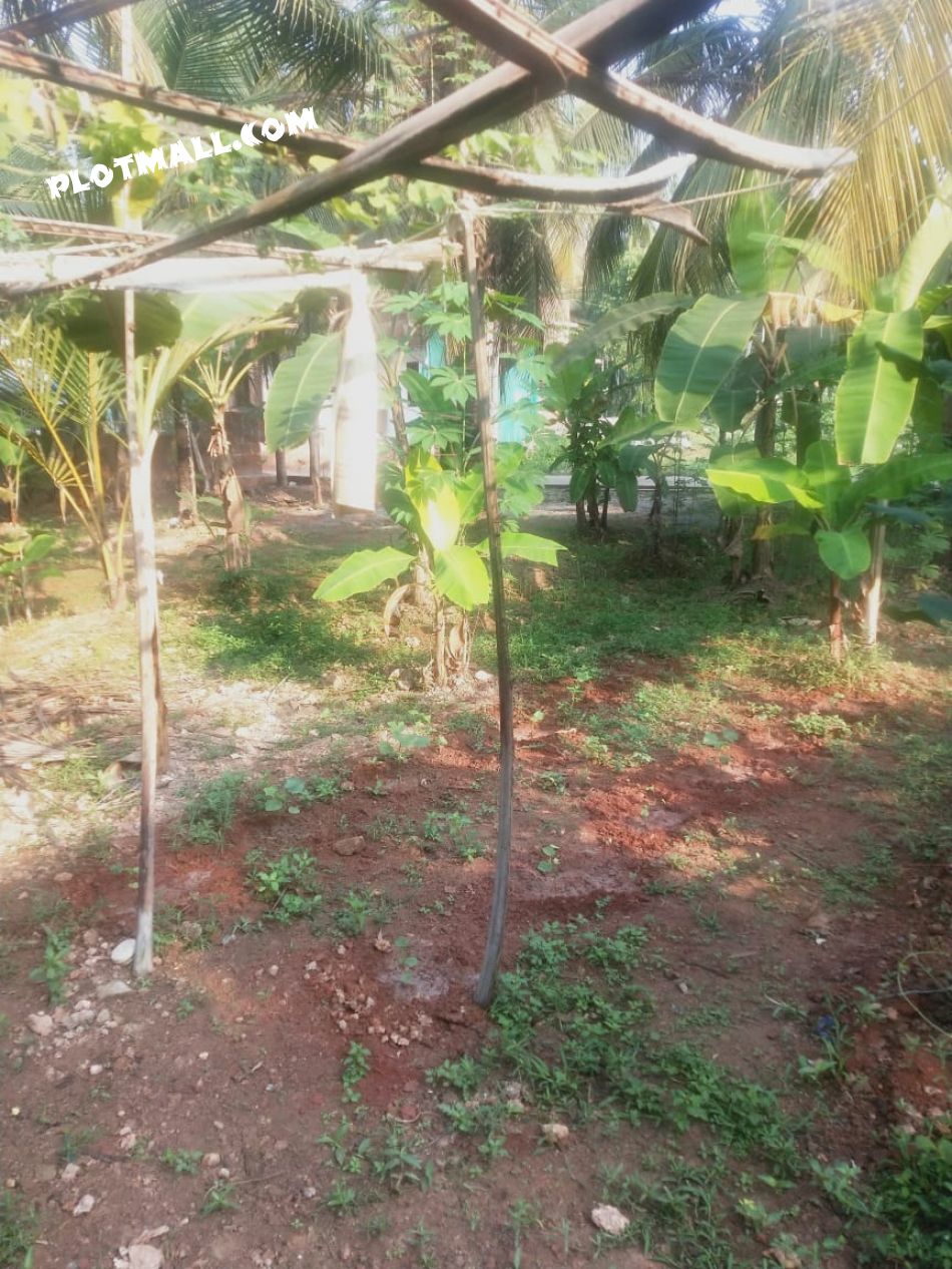 Residential Land For Sale