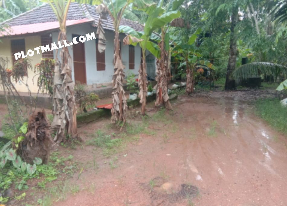 Residential Land For Sale