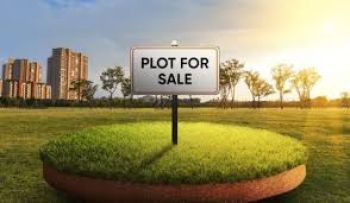 76 Cent Residential Land for Sale at Perumbavoor Budget - 110000 Cent