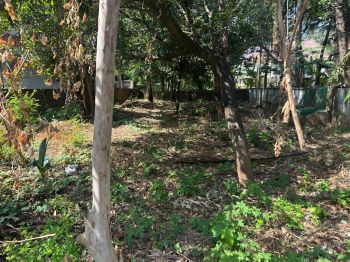 7.5 Cent Residential Land for Sale at  Budget - 1275000 Cent