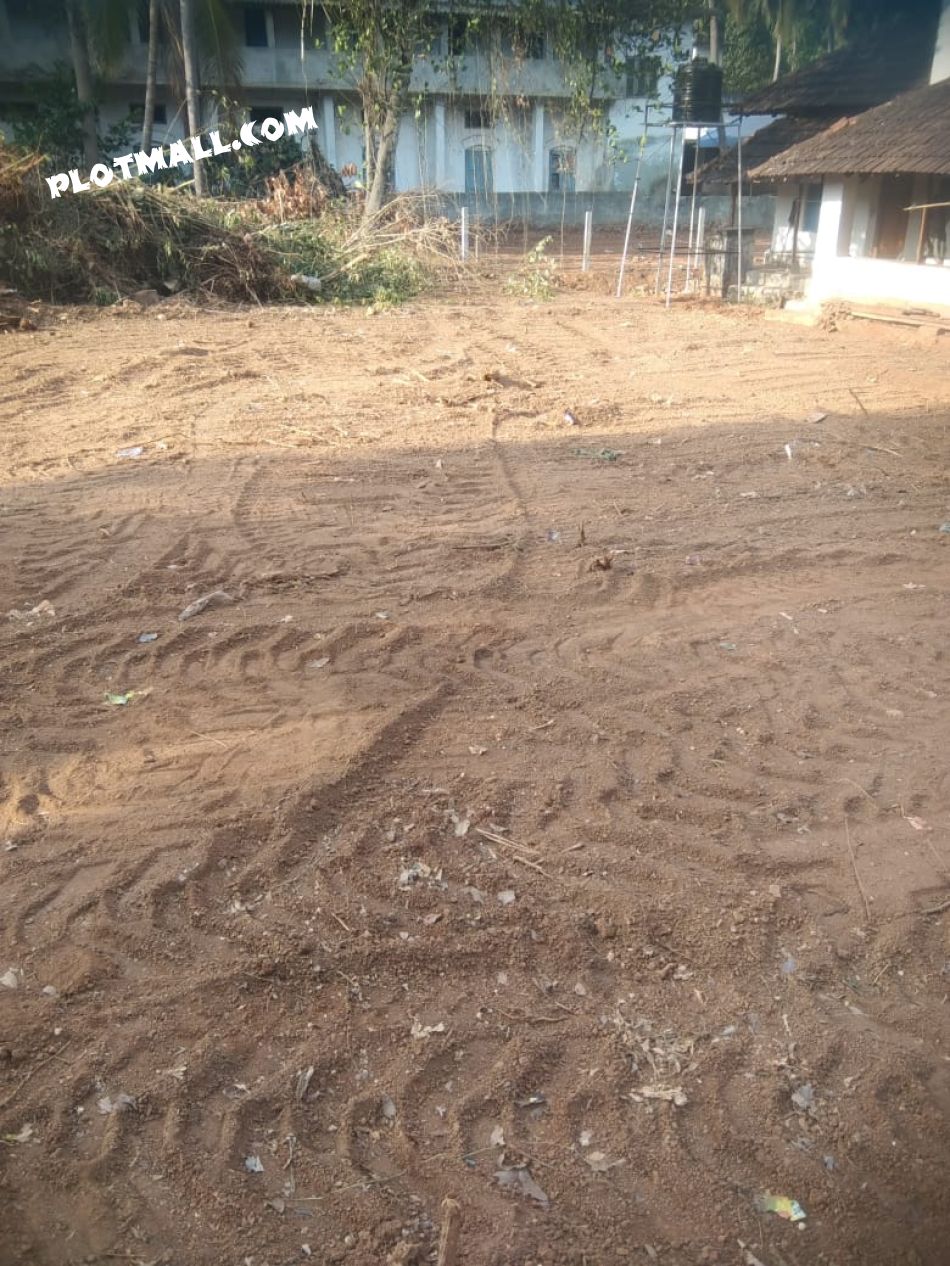 43 Cent Residential Land for Sale at Kongad Budget - 400000 Cent