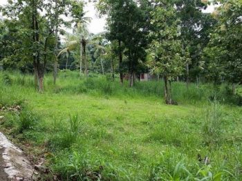 14 Cent Residential Land for Sale at Malakkallu Budget - 2200000 Total