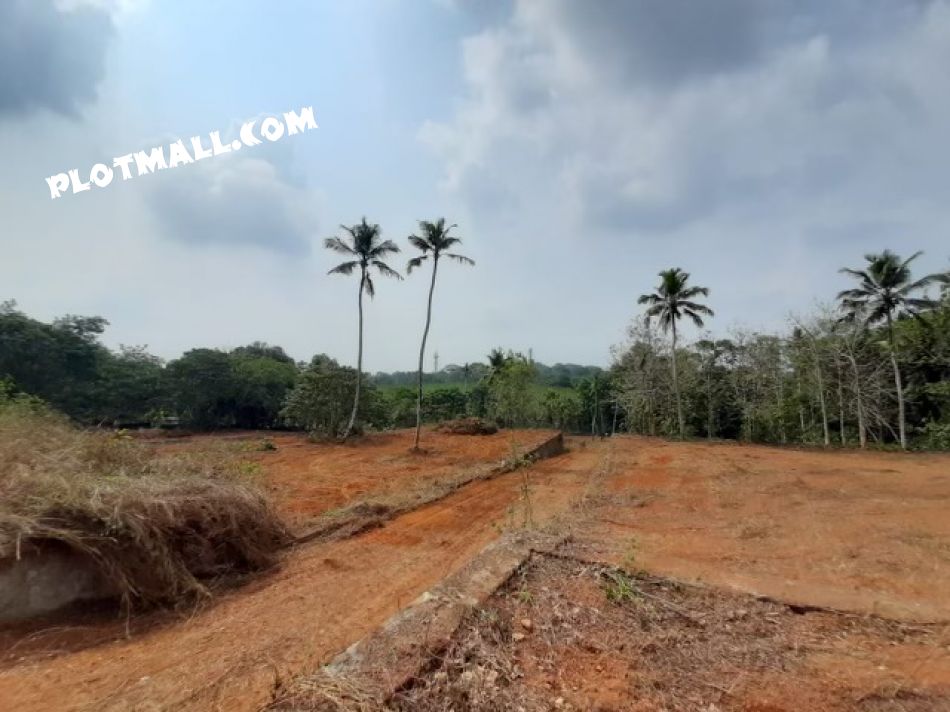 Residential Land For Sale