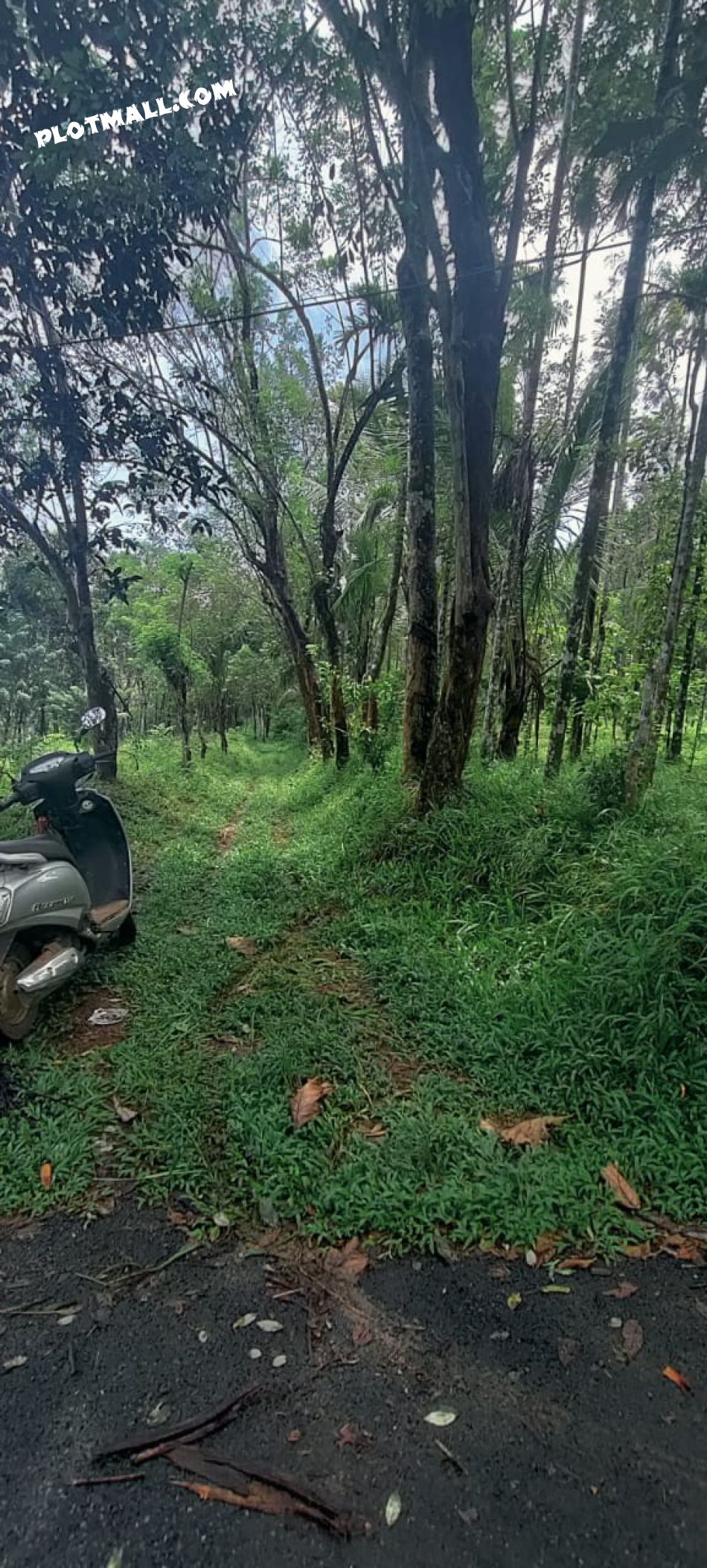 Residential Land For Sale