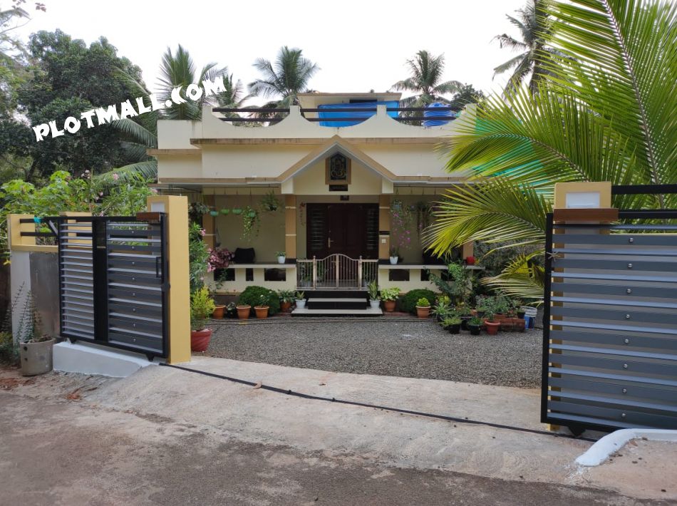 5.5 Cent Residential Land for Sale at Pookkottur Budget - 3200000 Total