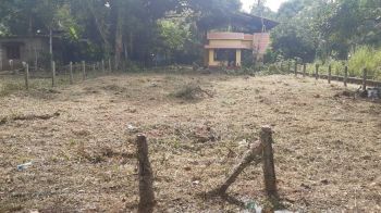 13.5 Cent Residential Land for Sale at Mavelikkara Budget - 1 Cent