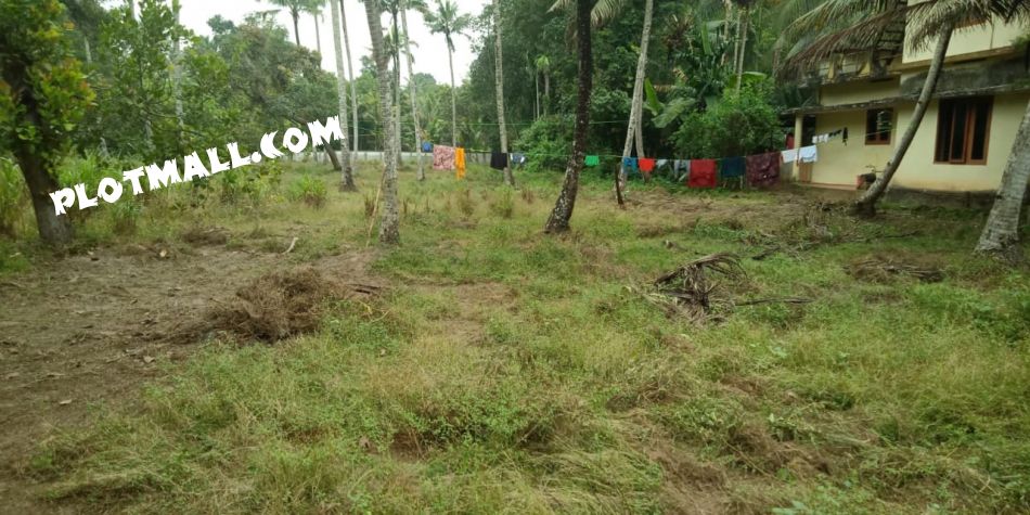 Commercial Land For Sale