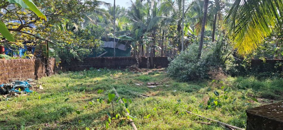 Residential Land For Sale