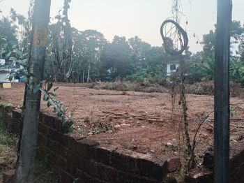 36 Cent Residential Land for Sale at  Budget - 650000 Cent