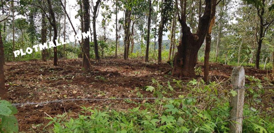 Residential Land For Sale