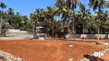 6 Cent Residential Land for Sale at Palakkad Budget - 725000 Cent