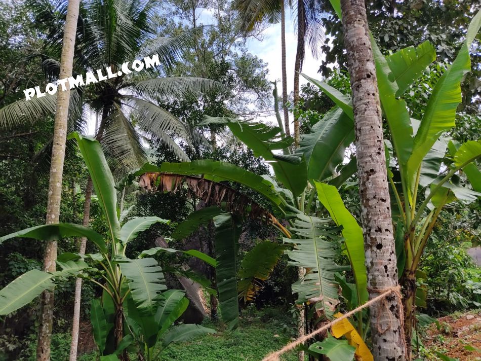 Residential Land For Sale