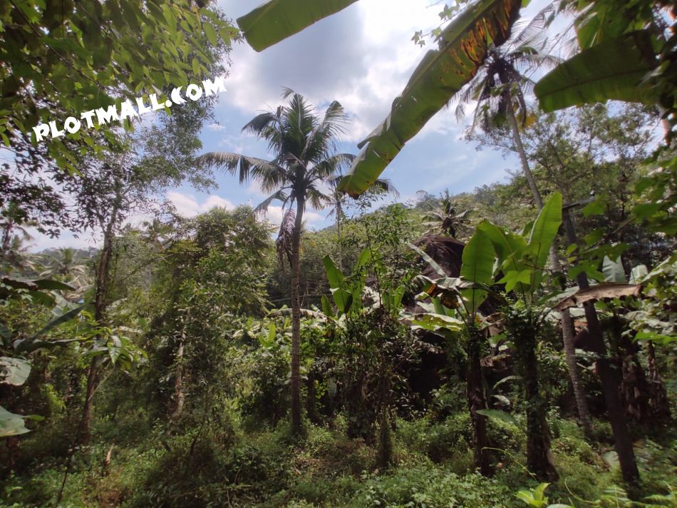 Residential Land For Sale