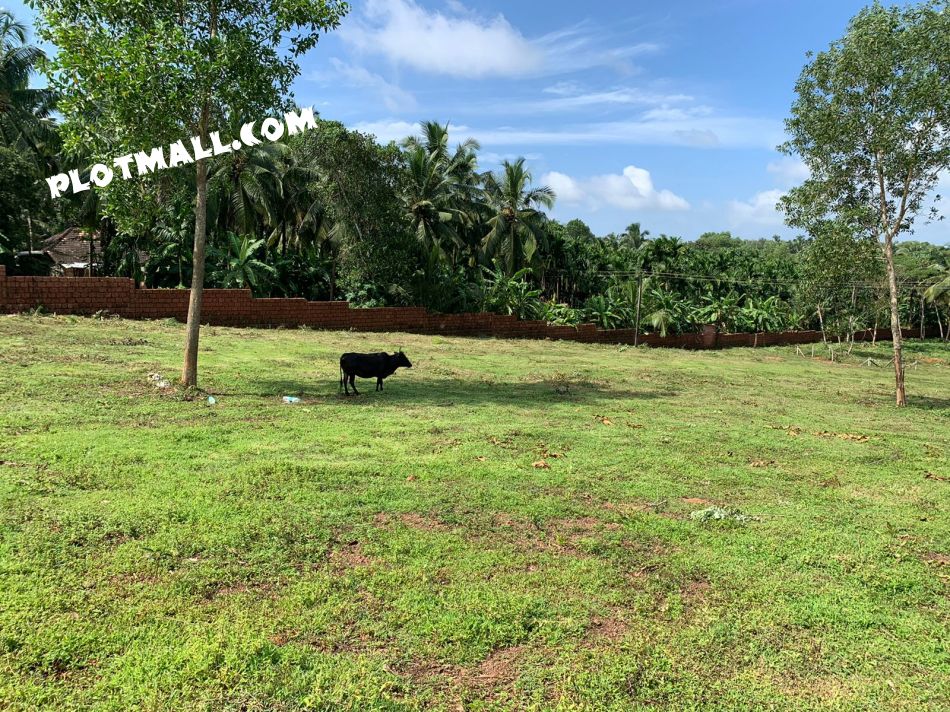 Residential Land For Sale