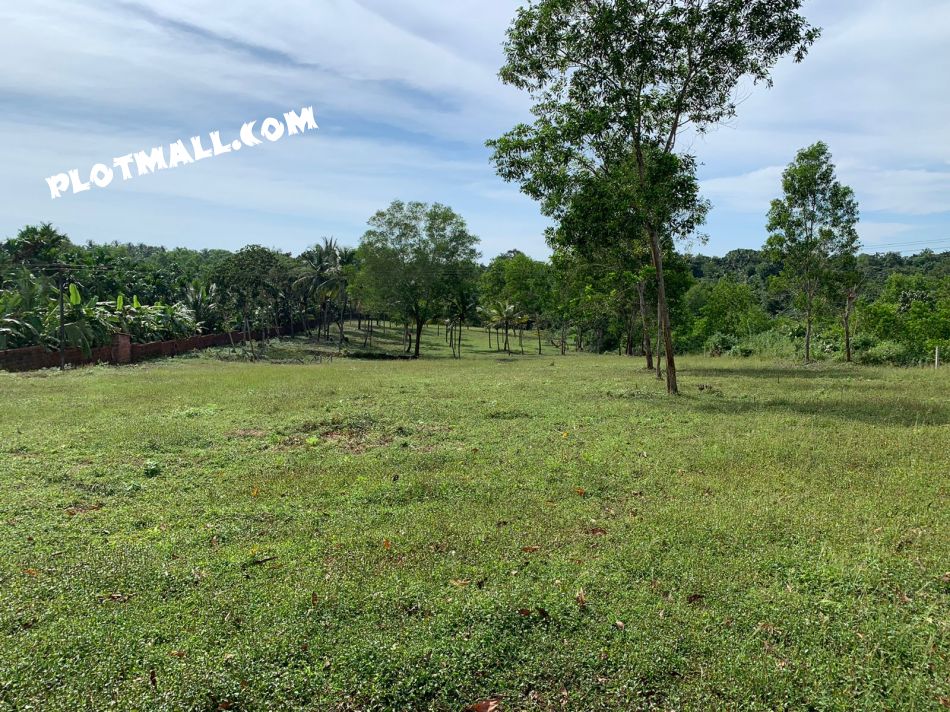 Residential Land For Sale