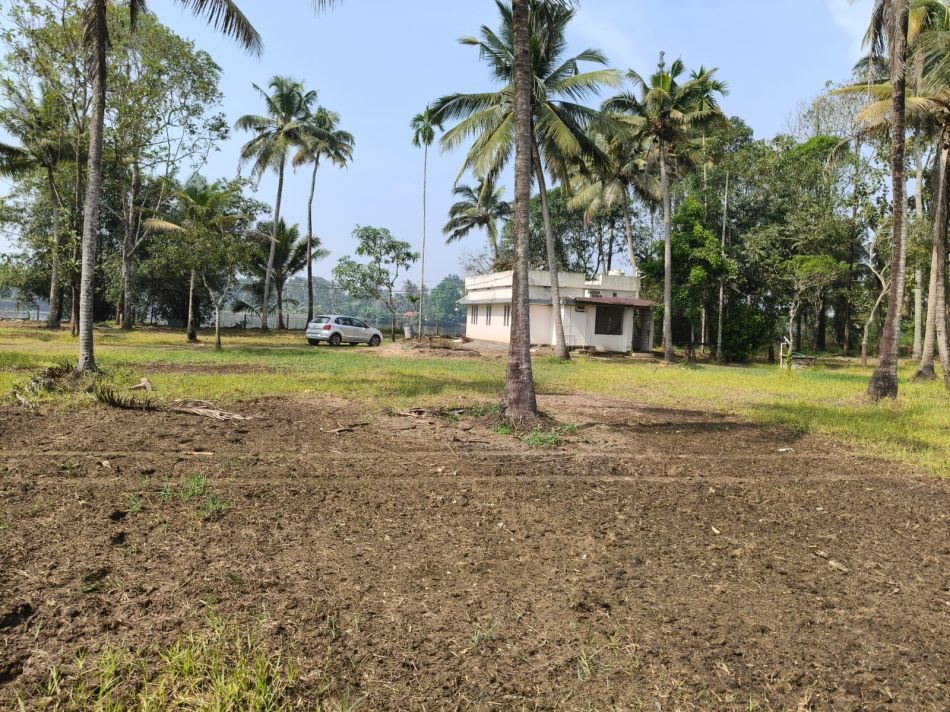 Residential Land For Sale