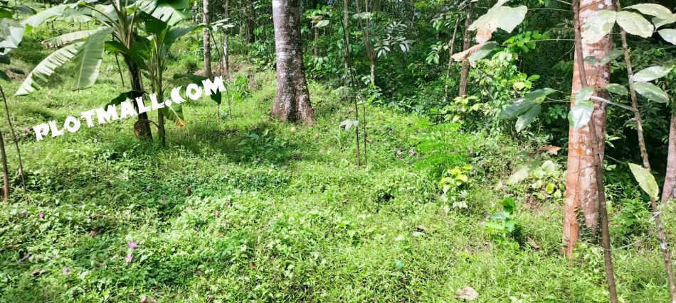 Residential Land For Sale