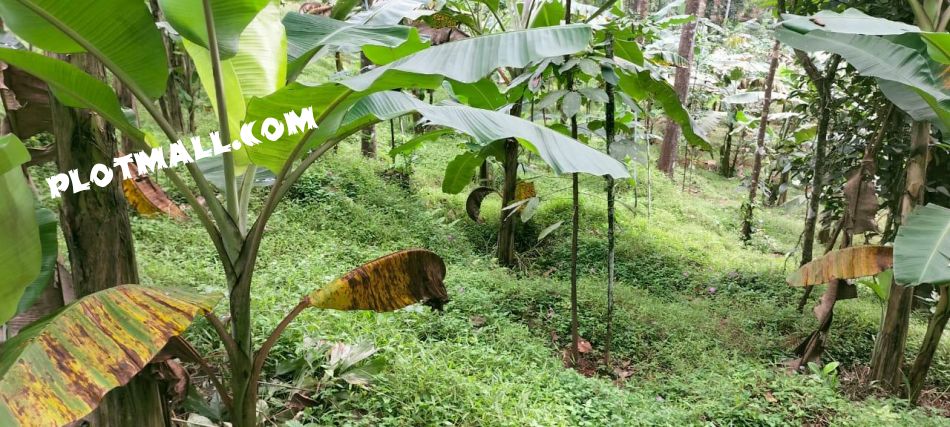 Residential Land For Sale