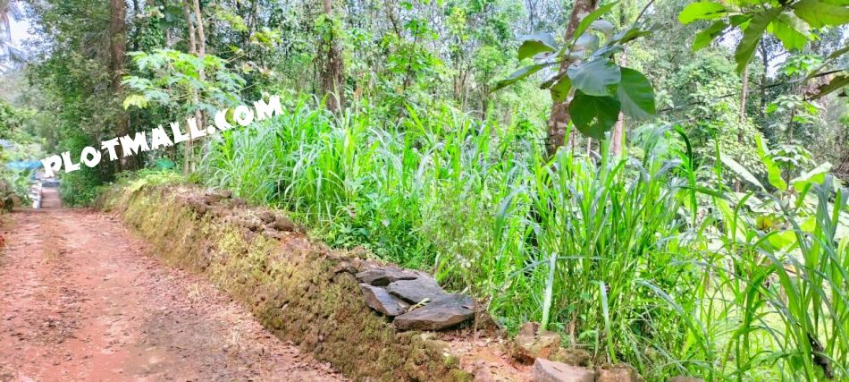 Residential Land For Sale