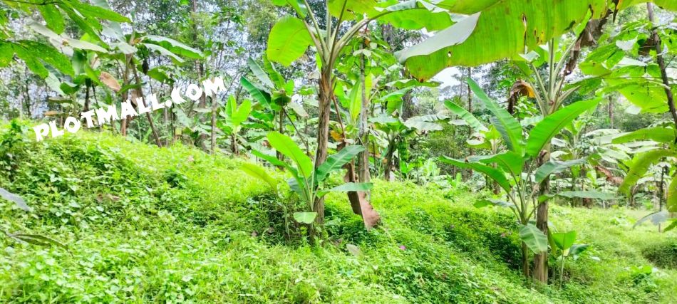 Residential Land For Sale