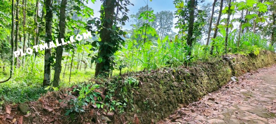 Residential Land For Sale